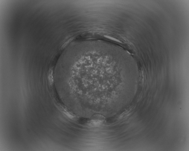 X0000069810479200606021510