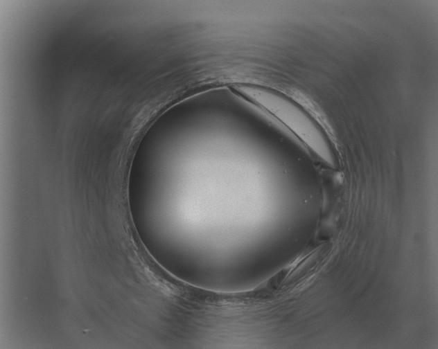 X0000069810481200606021509