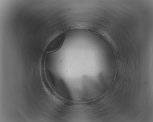 X0000069810482200606021509