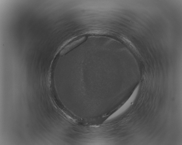 X0000069810484200606021509