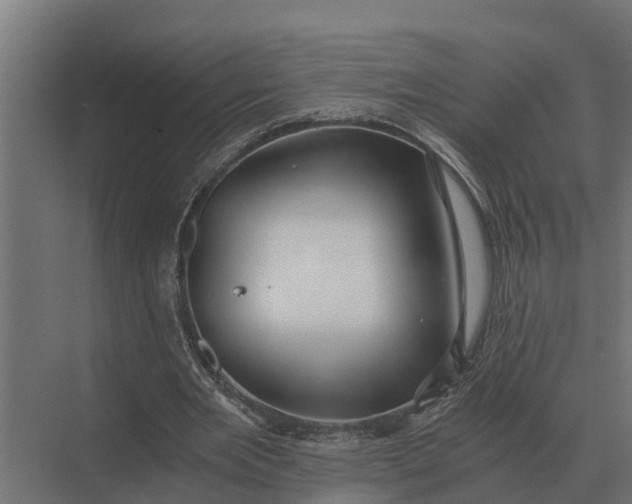 X0000069810485200606021509