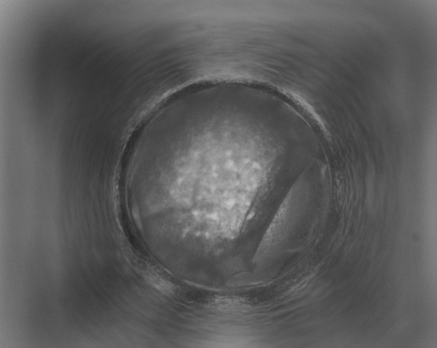 X0000069810487200606021509