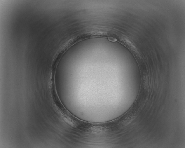 X0000069810490200606021509