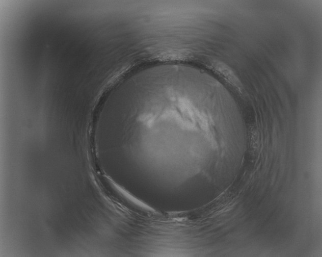 X0000069810491200606021509