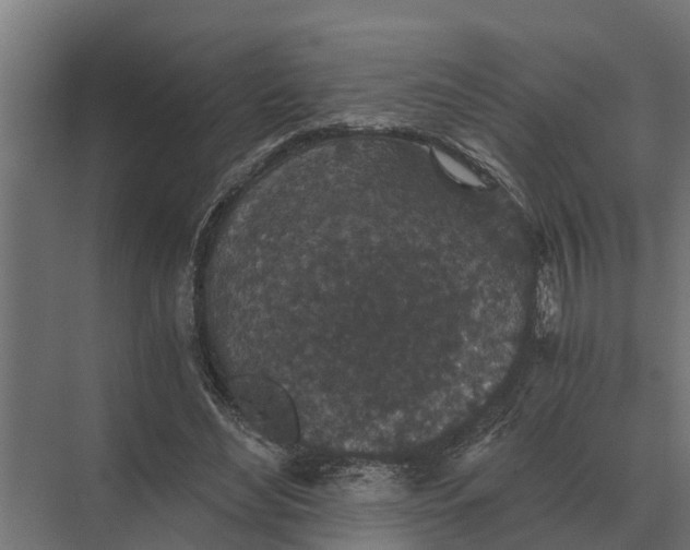 X0000069810492200606021509