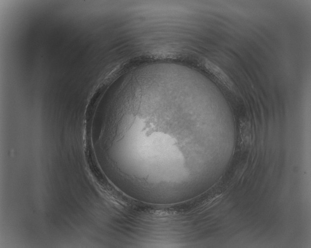 X0000069810494200606021509