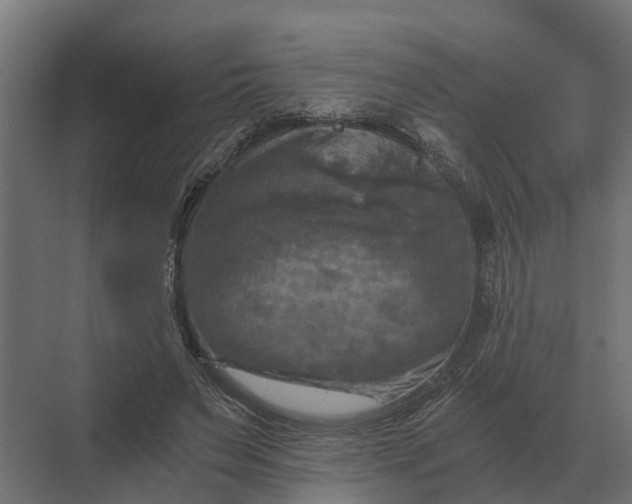 X0000069810495200606021509