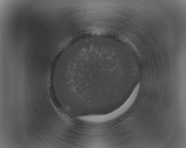 X0000069810496200606021509