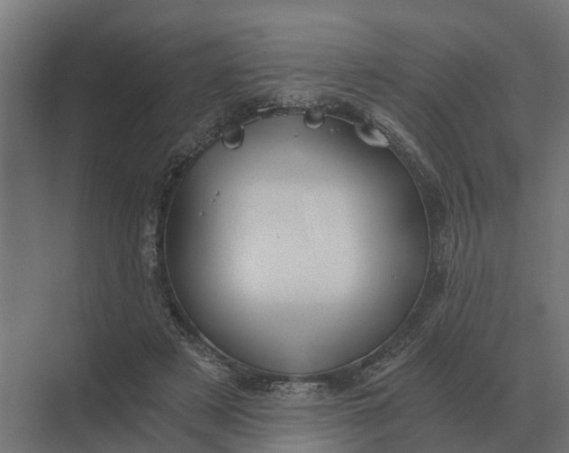 X0000069810497200606021509