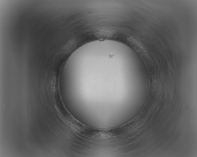 X0000069810498200606021509