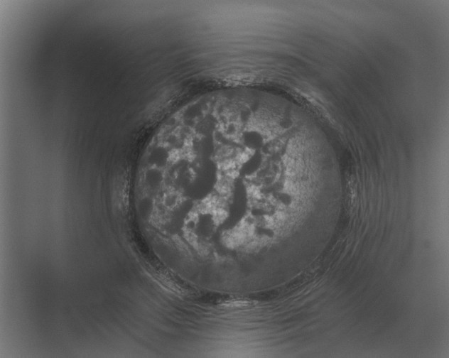 X0000069810499200606021509