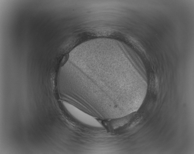 X0000069810501200606021509