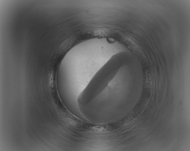 X0000069810502200606021509