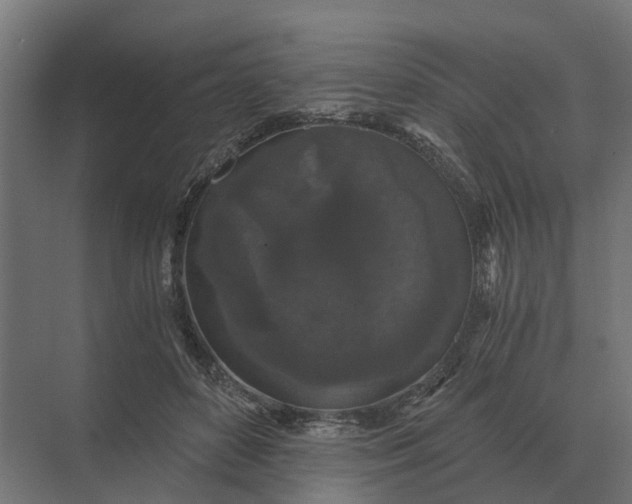 X0000069810504200606021509