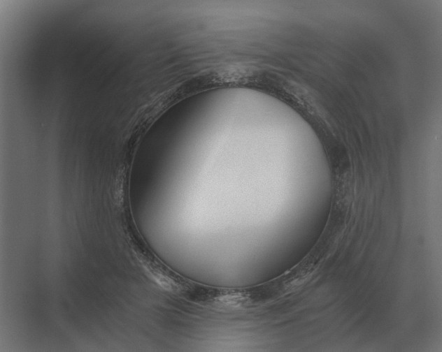 X0000069810505200606021509