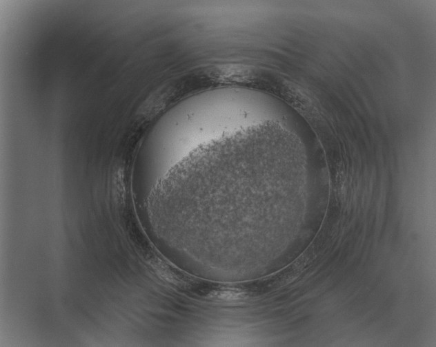 X0000069810506200606021509