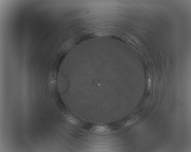 X0000069810507200606021509