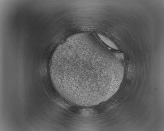 X0000069810508200606021509