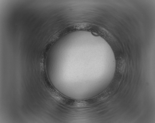 X0000069810510200606021509