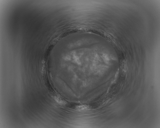 X0000069810511200606021508