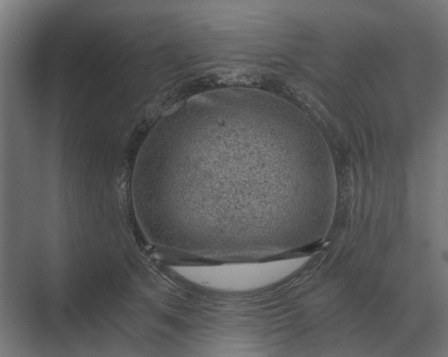 X0000069810513200606021508