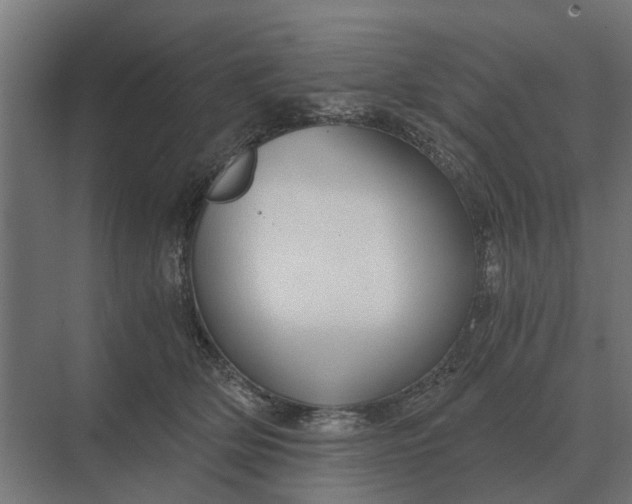 X0000069810514200606021508