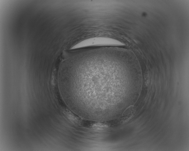 X0000069810515200606021508