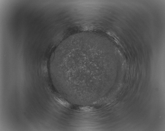 X0000069810516200606021508