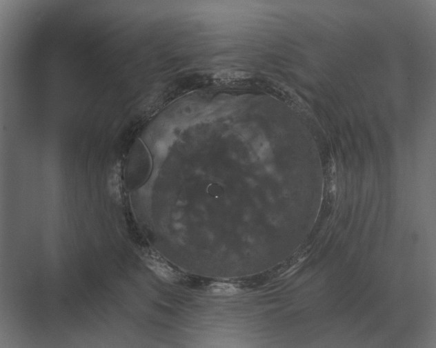 X0000069810519200606021508