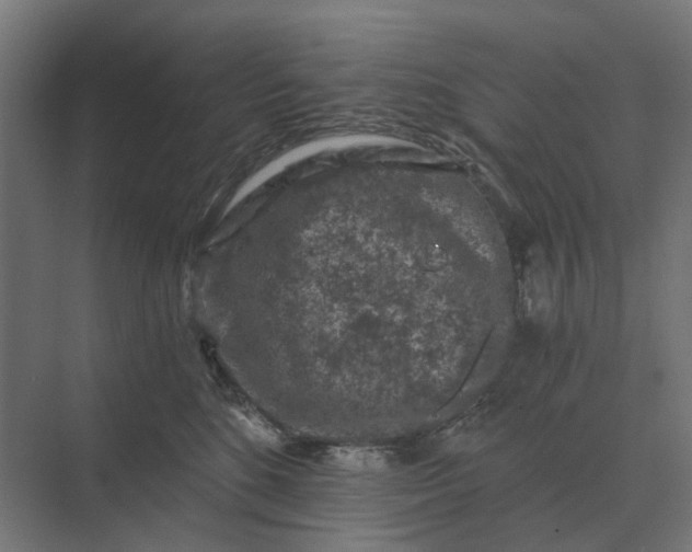 X0000069810520200606021508