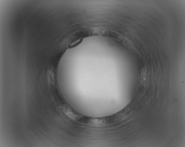 X0000069810522200606021508