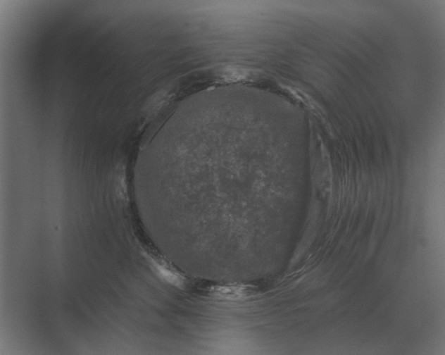 X0000069810524200606021508