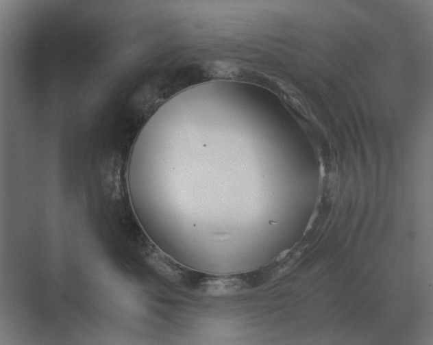 X0000069810525200606021508