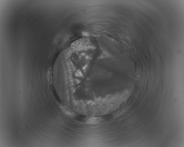 X0000069810527200606021508