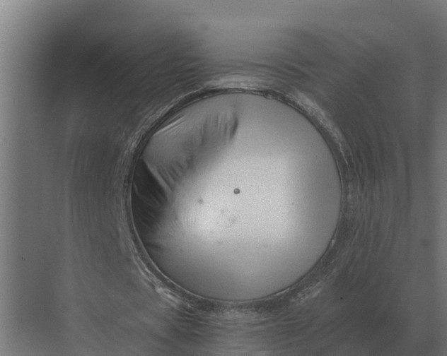 X0000069810529200606021507