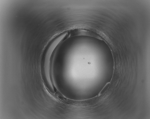 X0000069810530200606021507