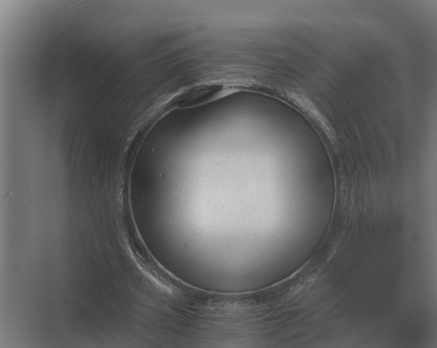 X0000069810533200606021507