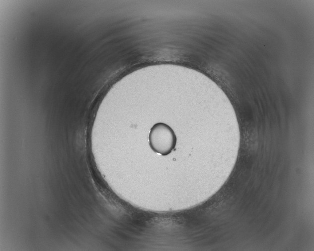 X0000069810534200606021507