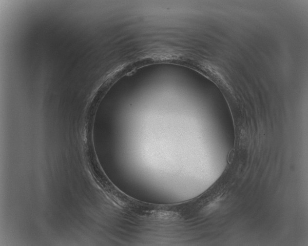 X0000069810539200606021508