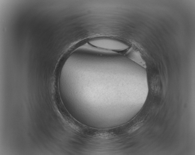 X0000069810540200606021508