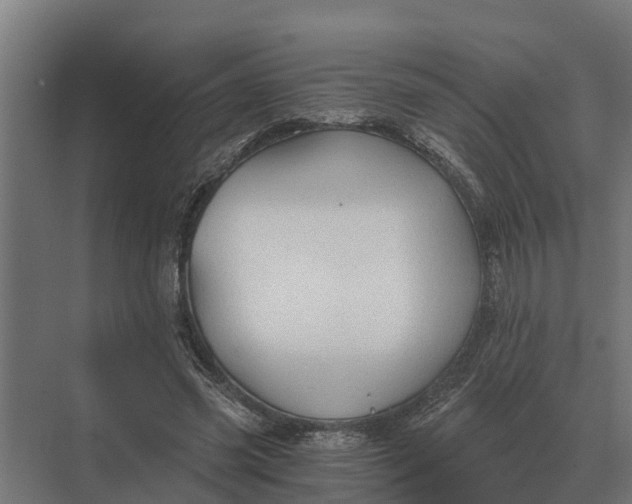 X0000069810541200606021508