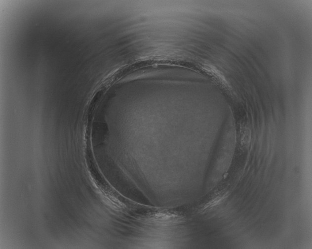 X0000069810542200606021508