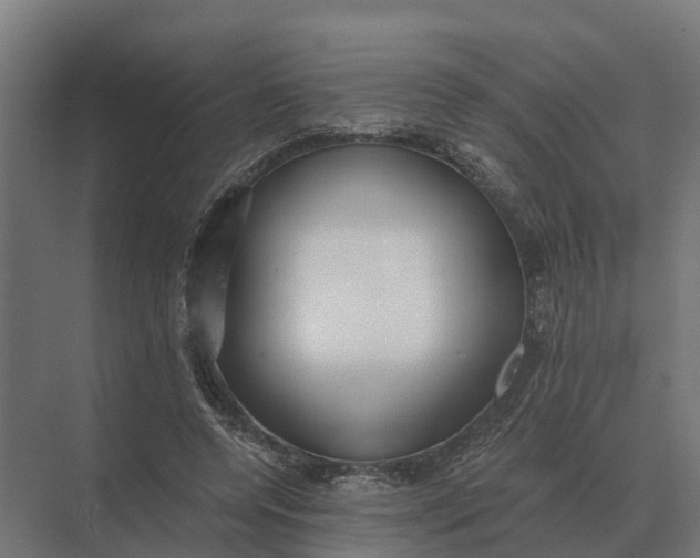 X0000069810544200606021508