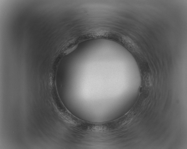 X0000069810546200606021508