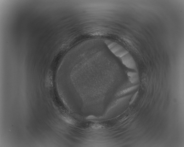 X0000069810547200606021508