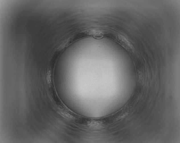 X0000069810549200606021508