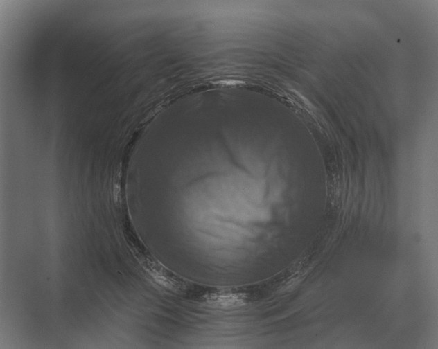 X0000069810553200606021508