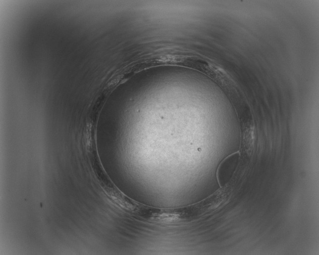 X0000069810554200606021508