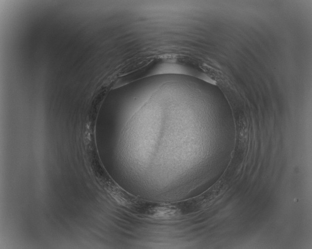 X0000069810555200606021508