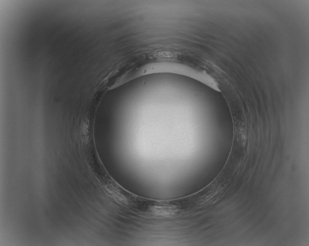 X0000069810556200606021508